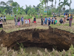 Sawah di Situjuah Batua Amblas Usai Dentuman Keras, Lubang 20 Meter Muncul
